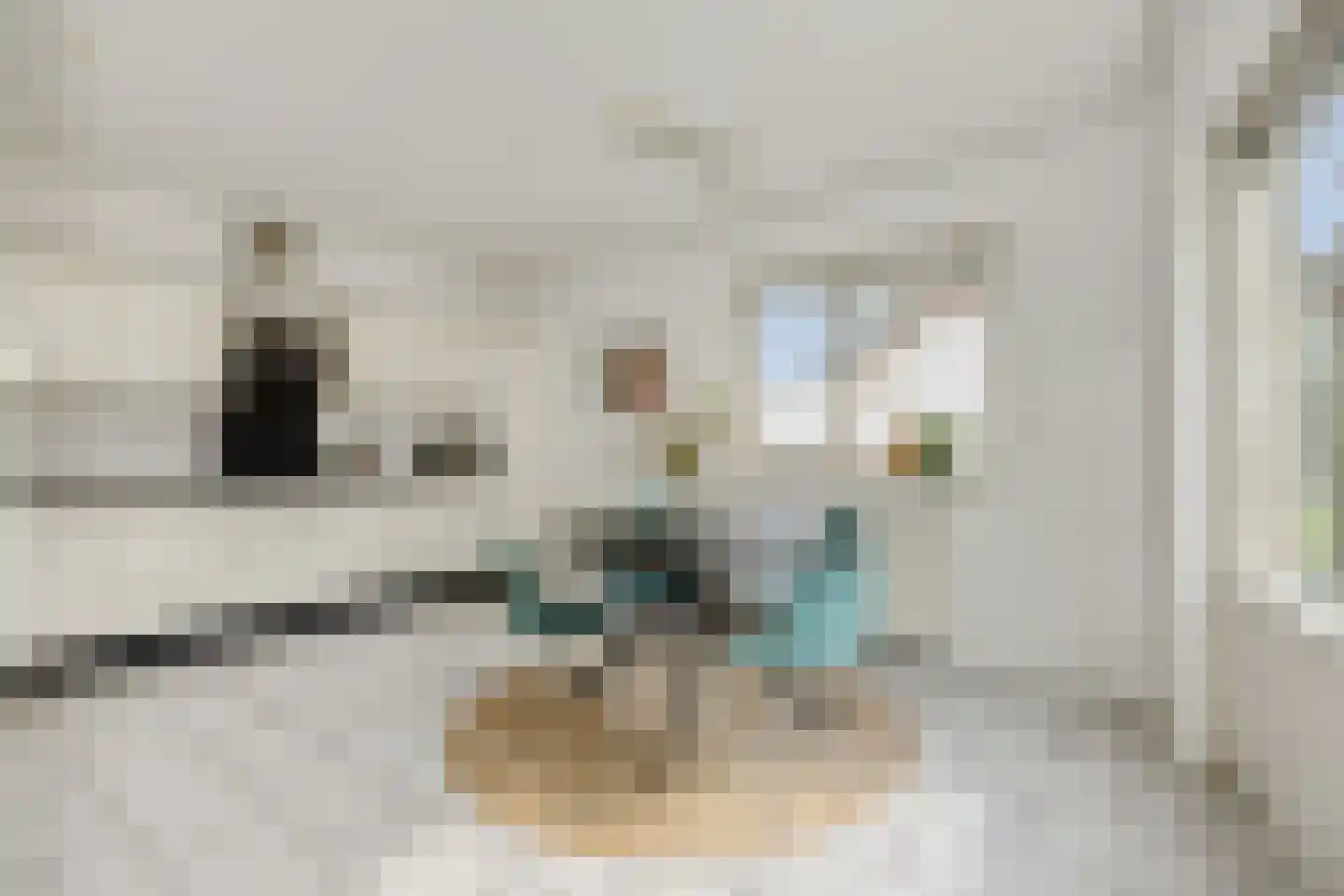 Max Euwestraat 21 Rosmalen thumbnail 12