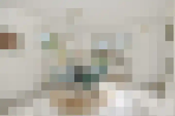 Max Euwestraat 21 Rosmalen thumbnail 13