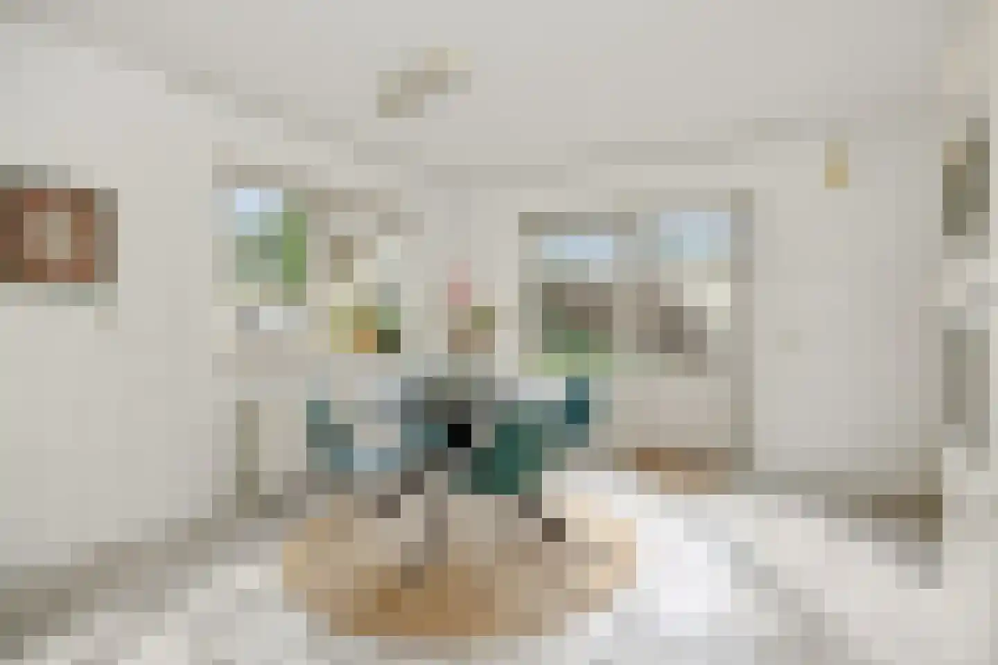 Max Euwestraat 21 Rosmalen thumbnail 13