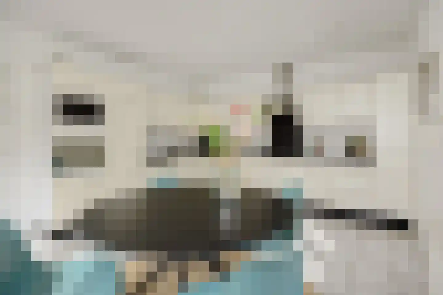 Max Euwestraat 21 Rosmalen thumbnail 14