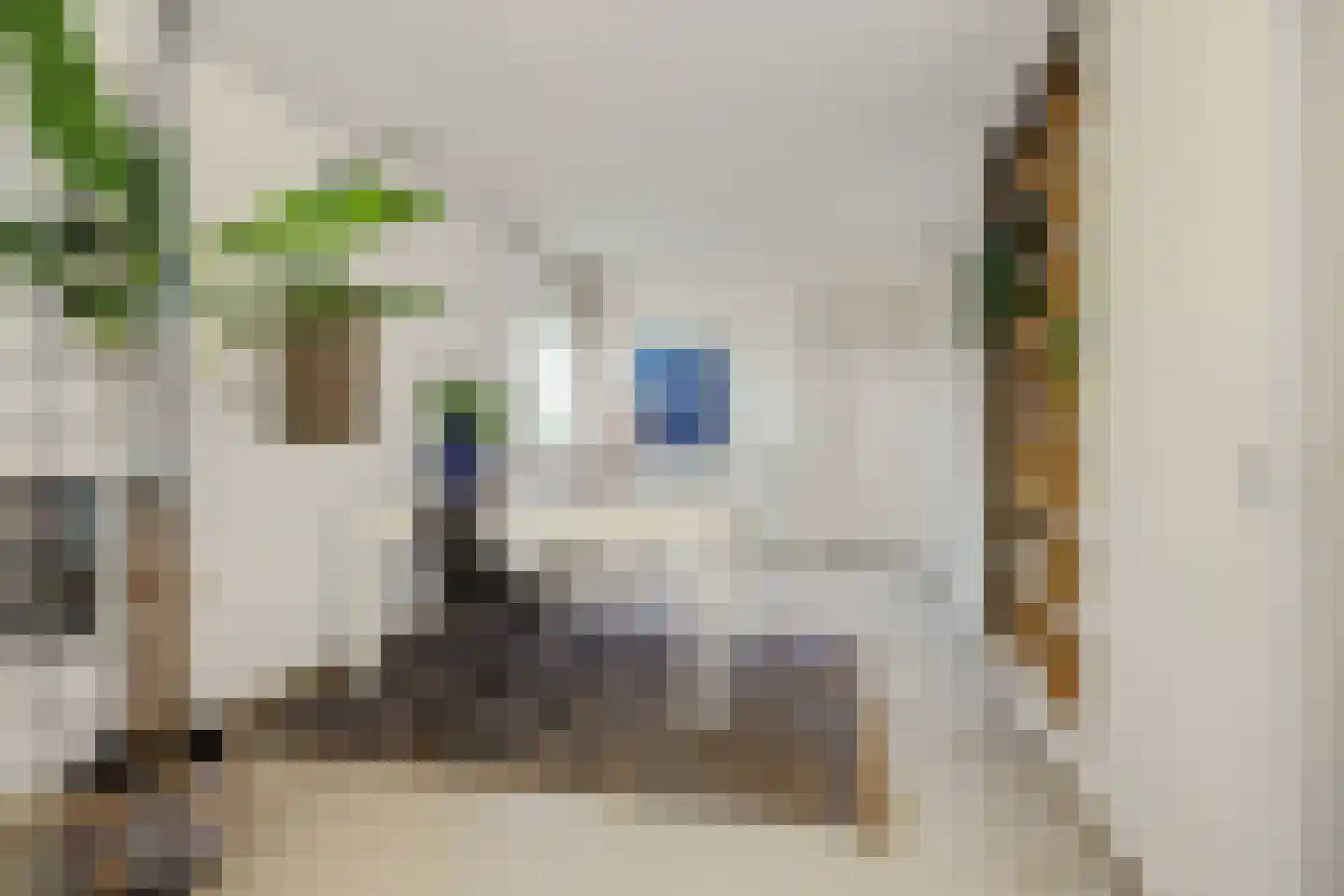 Max Euwestraat 21 Rosmalen thumbnail 15
