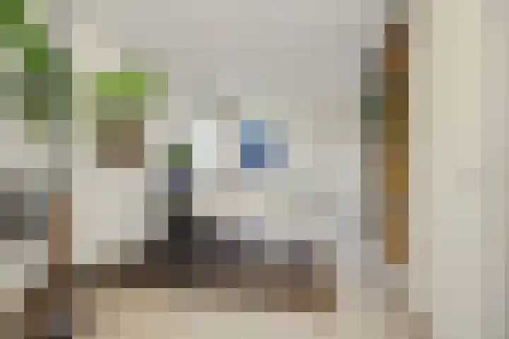 Max Euwestraat 21 Rosmalen thumbnail 15