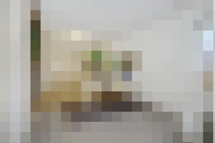 Max Euwestraat 21 Rosmalen thumbnail 16