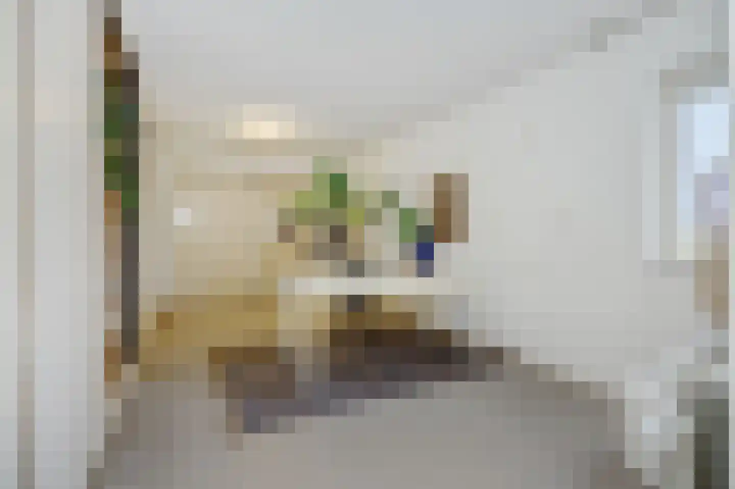 Max Euwestraat 21 Rosmalen thumbnail 16