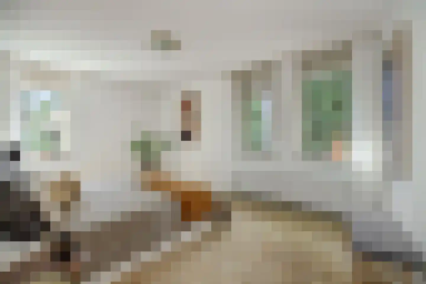 Max Euwestraat 21 Rosmalen thumbnail 18