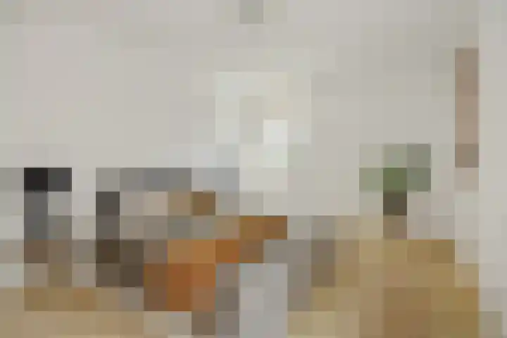 Max Euwestraat 21 Rosmalen thumbnail 19