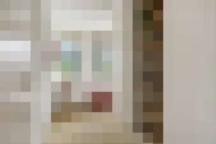Max Euwestraat 21 Rosmalen thumbnail 20
