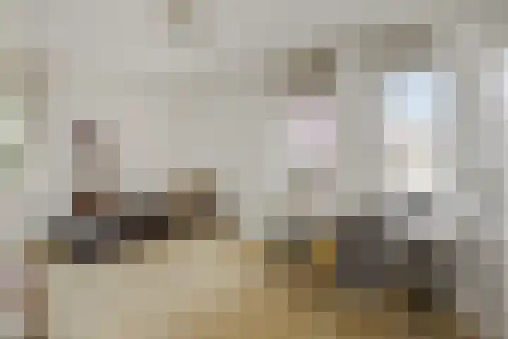 Max Euwestraat 21 Rosmalen thumbnail 24