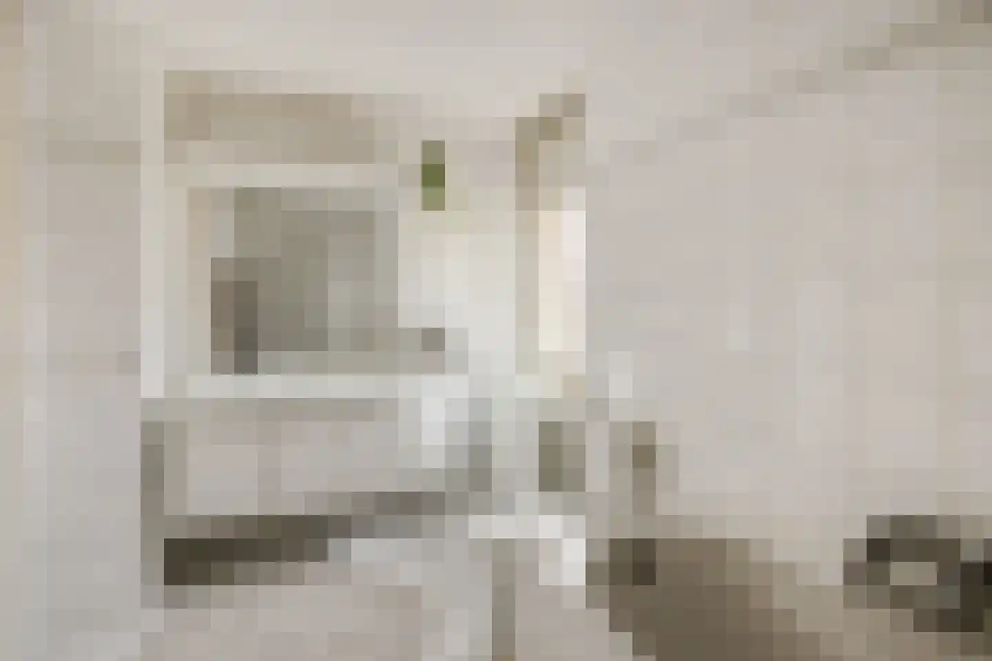 Max Euwestraat 21 Rosmalen thumbnail 26