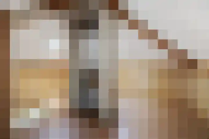 Max Euwestraat 21 Rosmalen thumbnail 29