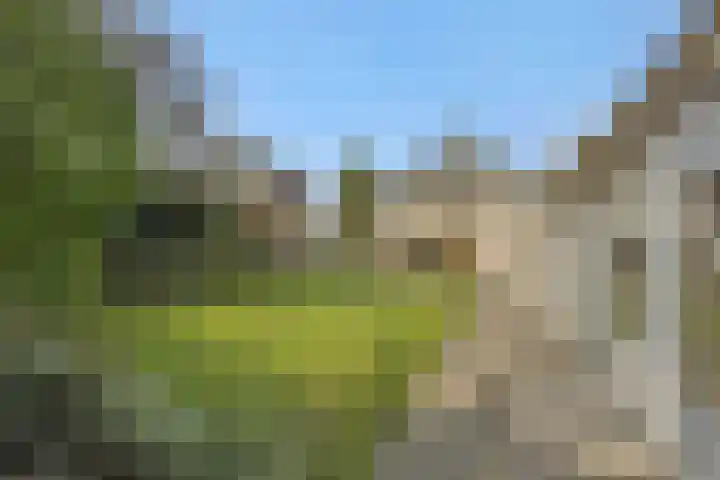 Max Euwestraat 21 Rosmalen thumbnail 31