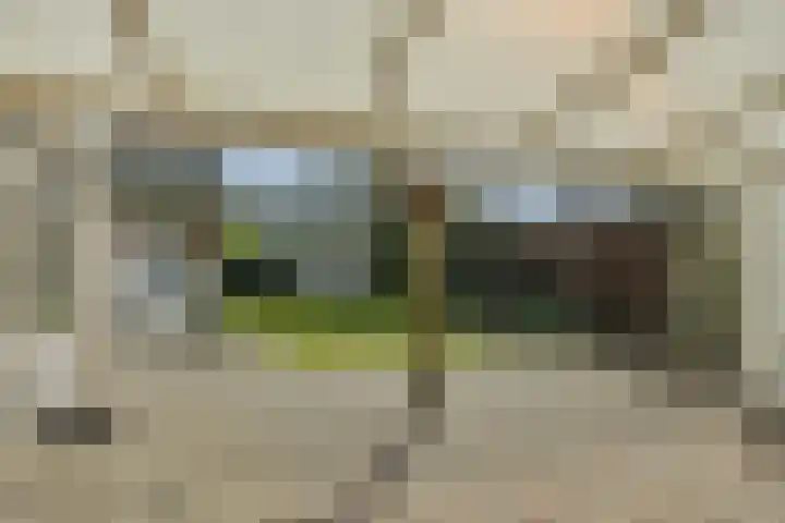 Max Euwestraat 21 Rosmalen thumbnail 33