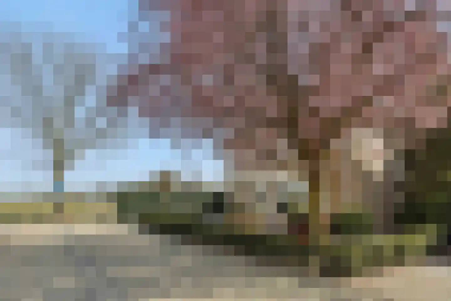 Max Euwestraat 21 Rosmalen thumbnail 37