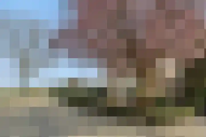 Max Euwestraat 21 Rosmalen thumbnail 37