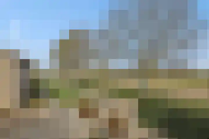 Max Euwestraat 21 Rosmalen thumbnail 38