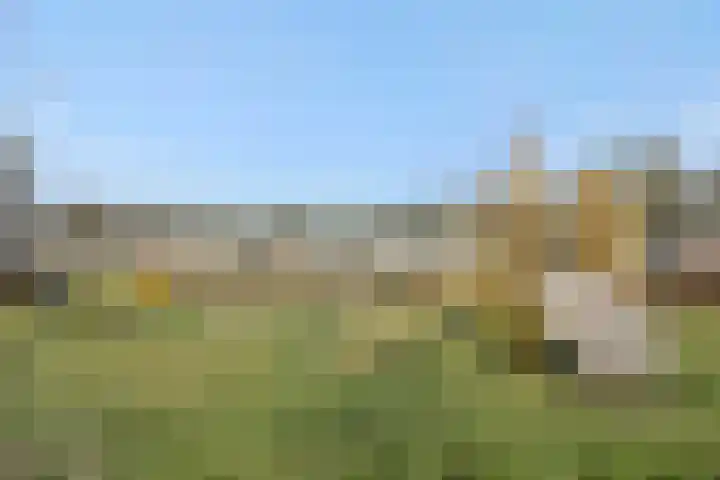 Max Euwestraat 21 Rosmalen thumbnail 39