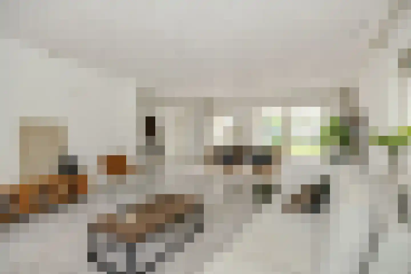 Max Euwestraat 21 Rosmalen thumbnail 4