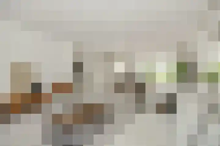 Max Euwestraat 21 Rosmalen thumbnail 4