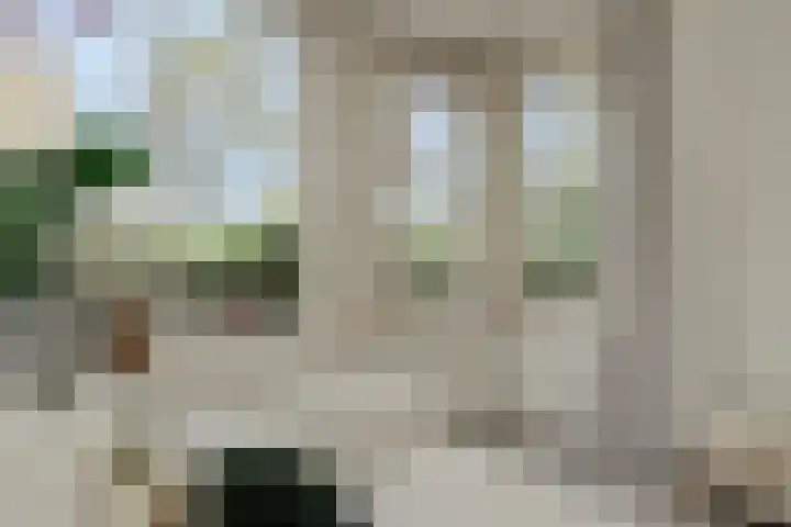 Max Euwestraat 21 Rosmalen thumbnail 8