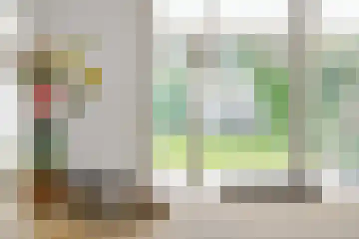 Max Euwestraat 21 Rosmalen thumbnail 9