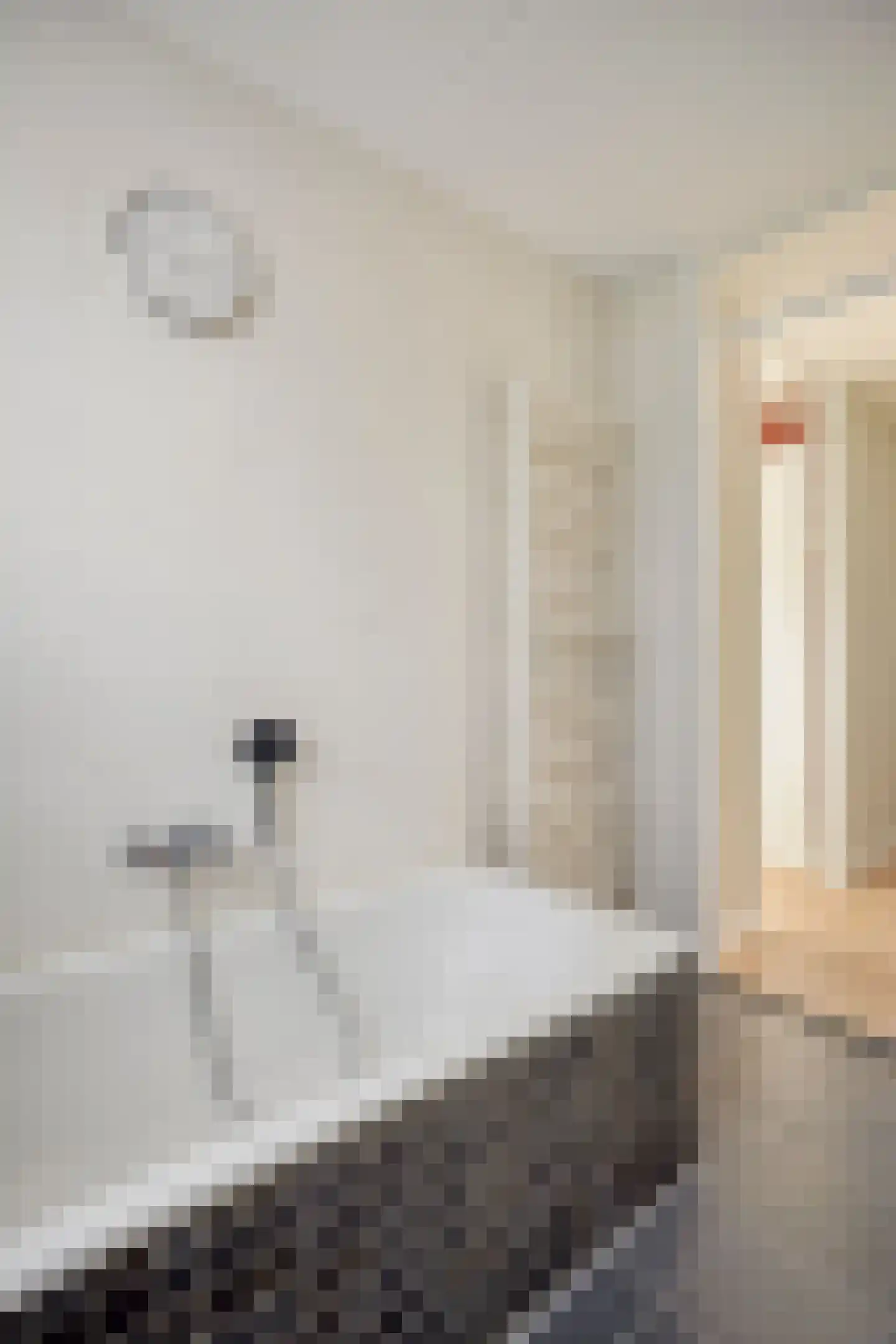 Max Euwestraat 54 Arnhem thumbnail 42
