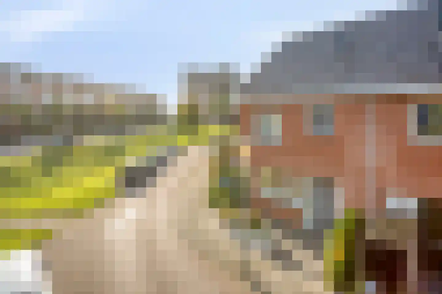 Max Euwestraat 54 Arnhem thumbnail 49