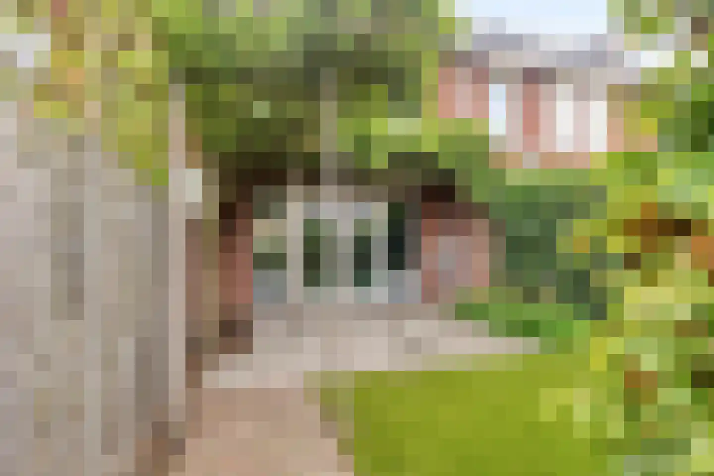 Max Euwestraat 6 Arnhem thumbnail 22