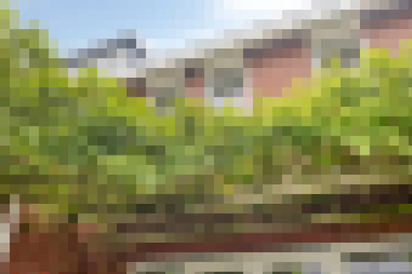 Max Euwestraat 6 Arnhem thumbnail 23