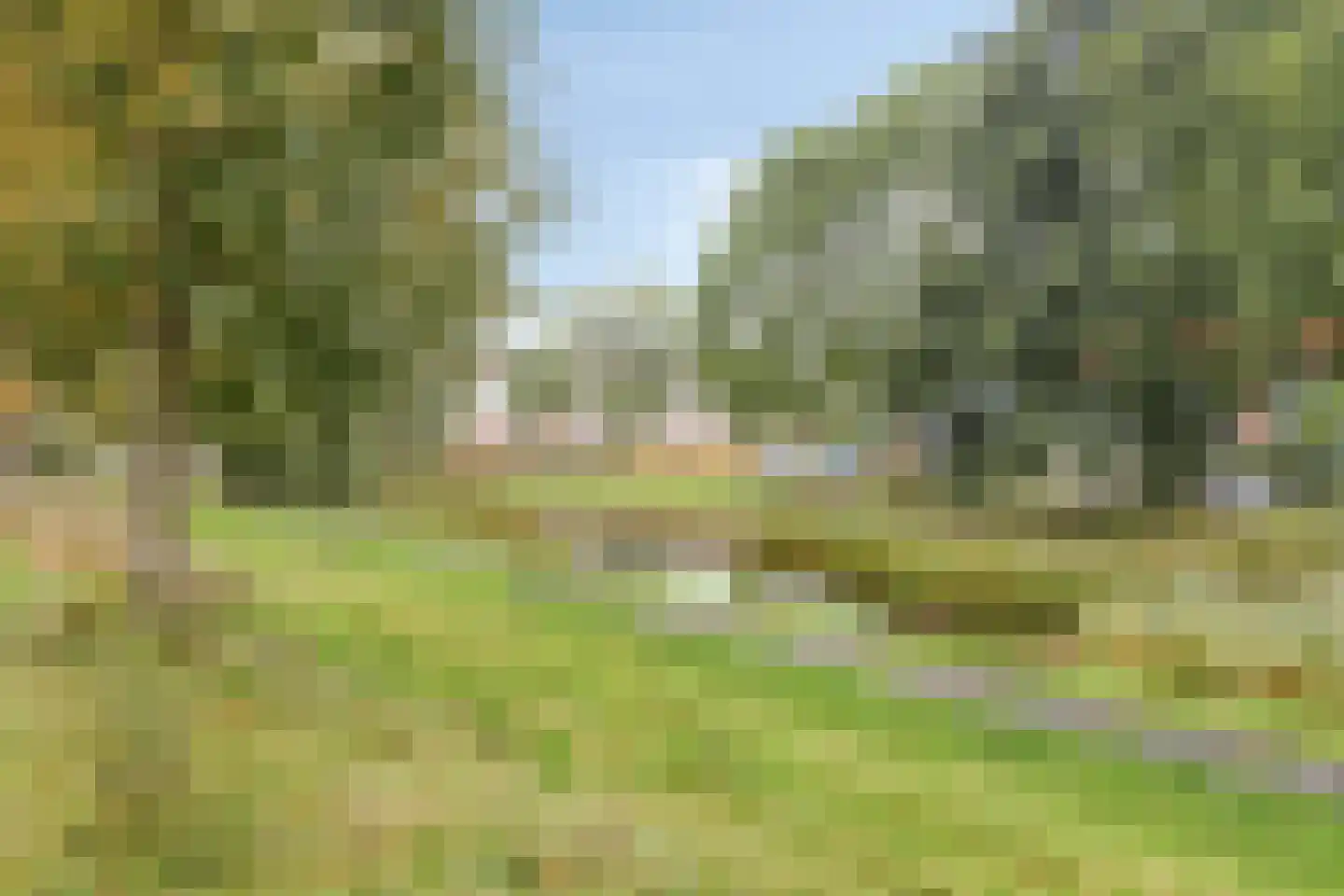 Max Euwestraat 6 Arnhem thumbnail 30
