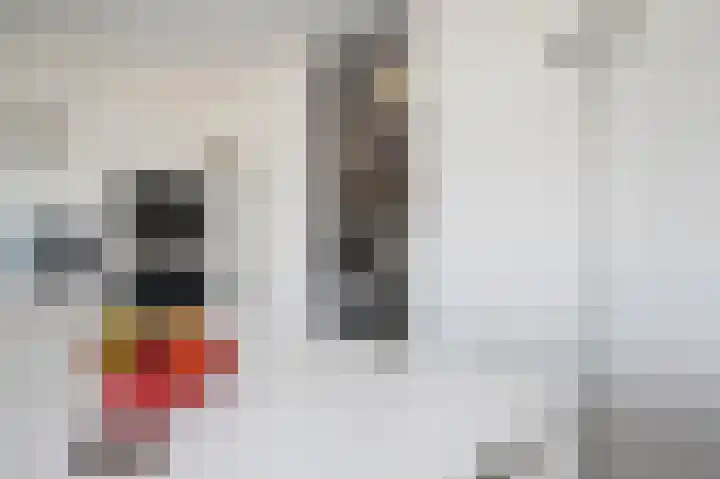 Max Euweweg 41 Den Haag thumbnail 18