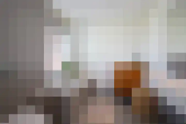 Max Euweweg 41 Den Haag thumbnail 24