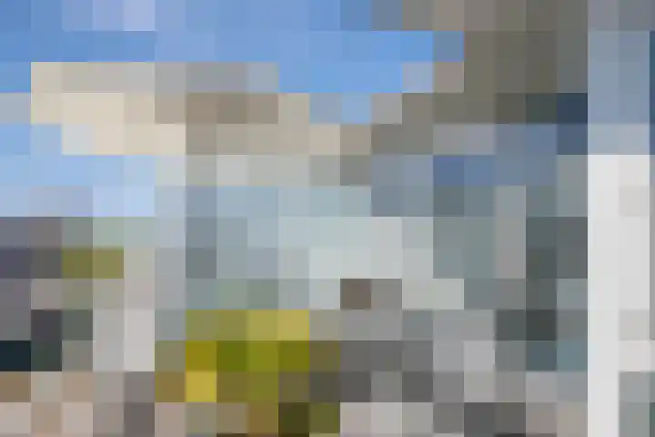 Max Euweweg 41 Den Haag thumbnail 35
