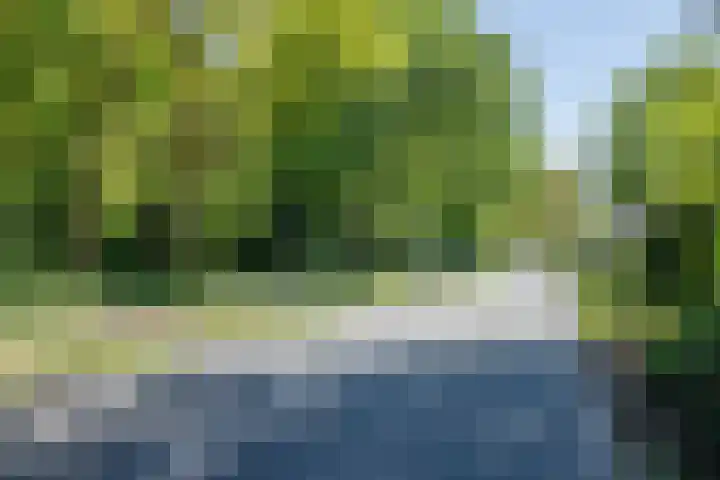 Max Euweweg 41 Den Haag thumbnail 42