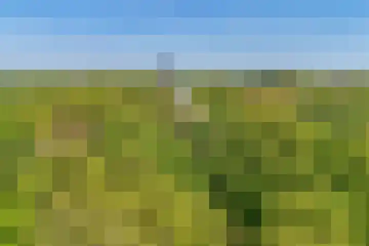 Max Euweweg 41 Den Haag thumbnail 45