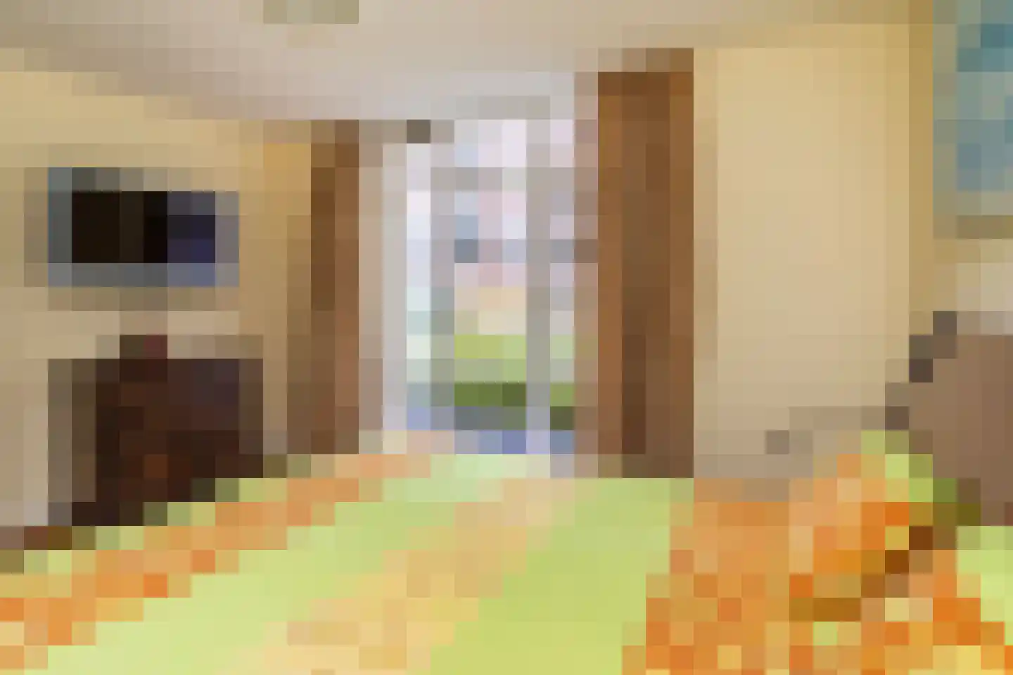 Max Euweweg 79 Den Haag thumbnail 26