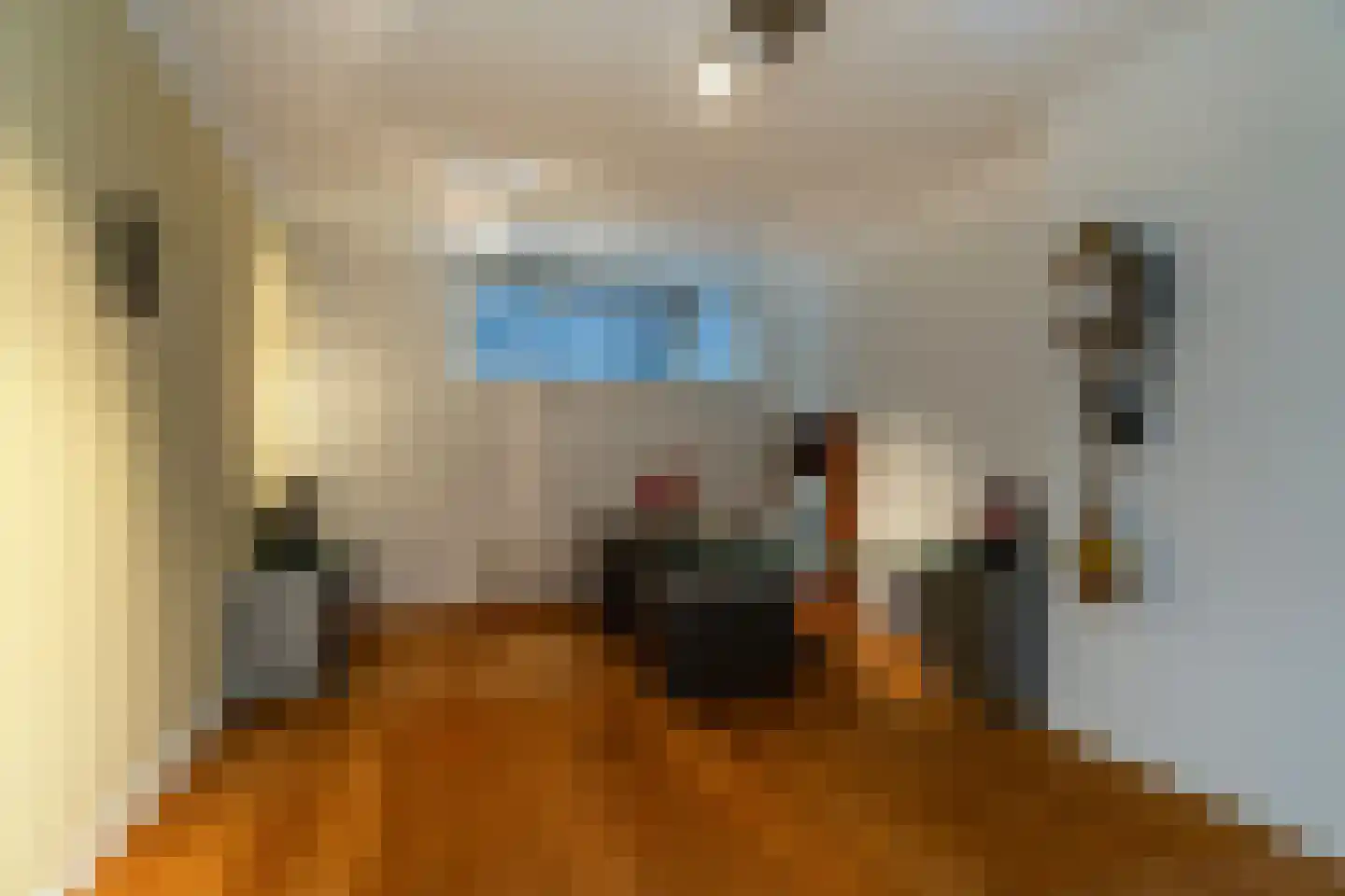 Max Euweweg 79 Den Haag thumbnail 33