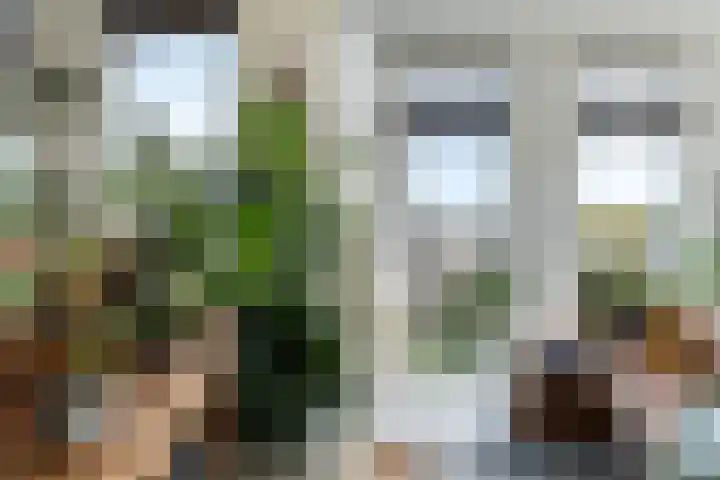 Max Gootelaan 34 Dordrecht thumbnail 13