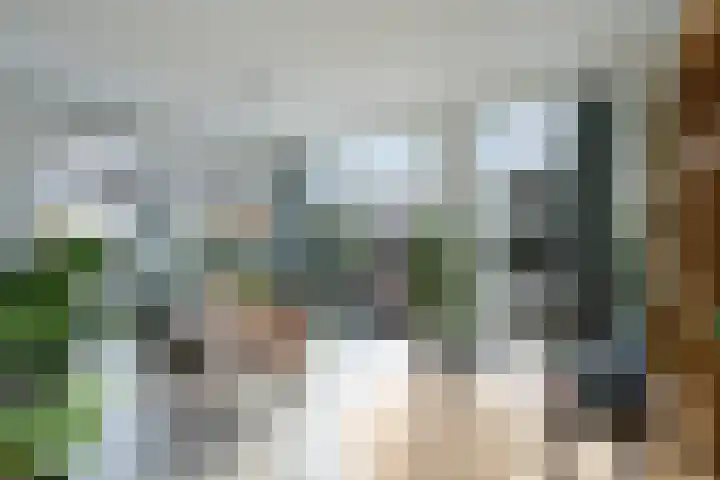 Max Gootelaan 34 Dordrecht thumbnail 15