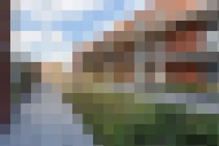 Max Gootelaan 34 Dordrecht thumbnail 36