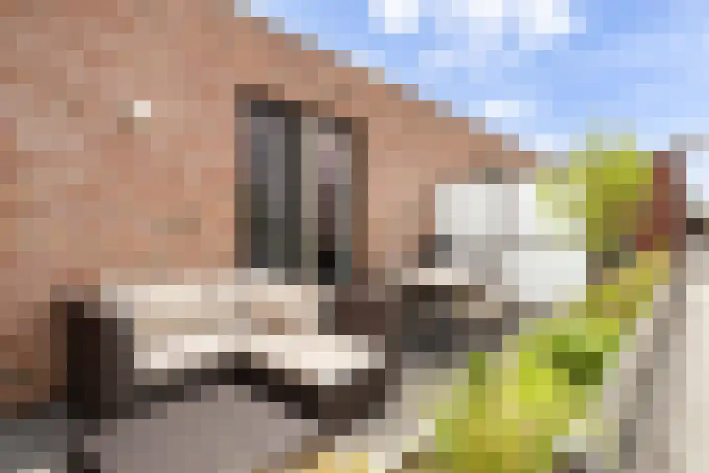 Max Gootelaan 39 Dordrecht thumbnail 32