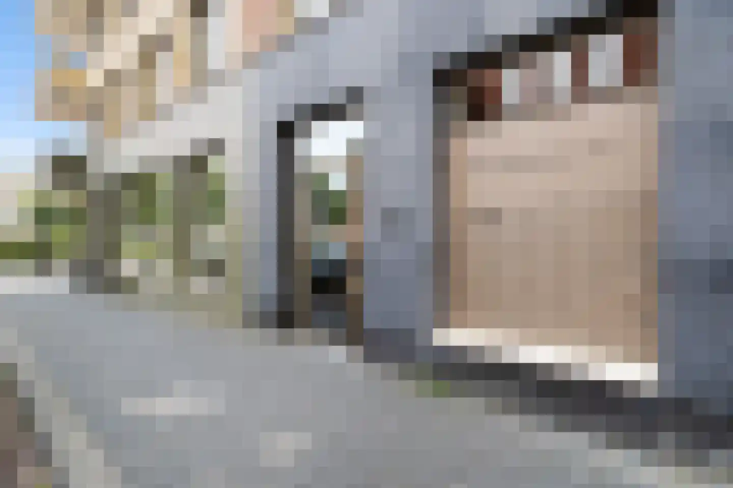 Max Gootelaan 39 Dordrecht thumbnail 8