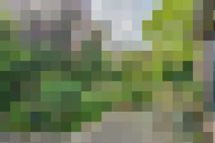 Max Havelaarburg 13 Capelle aan den IJssel thumbnail 11