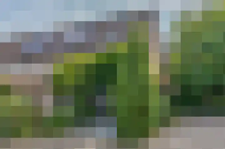 Max Havelaarburg 13 Capelle aan den IJssel thumbnail 25