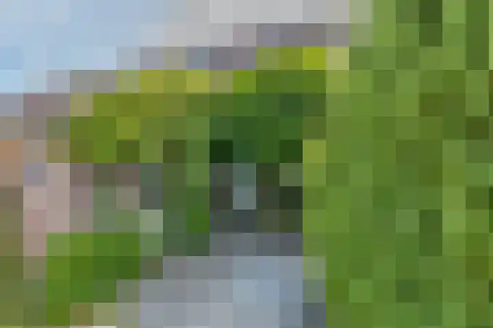 Max Havelaarburg 13 Capelle aan den IJssel thumbnail 27