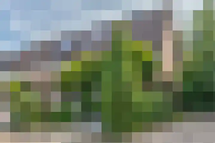 Max Havelaarburg 13 Capelle aan den IJssel thumbnail 31