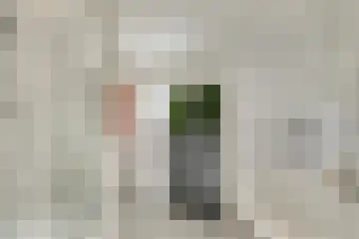 Max Havelaardreef 108 Oosterhout thumbnail 18