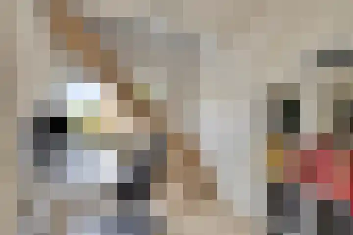Max Havelaardreef 108 Oosterhout thumbnail 19