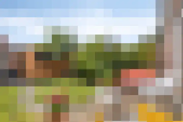 Max Havelaardreef 108 Oosterhout thumbnail 21