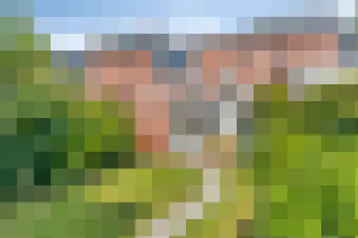 Max Havelaardreef 108 Oosterhout thumbnail 24
