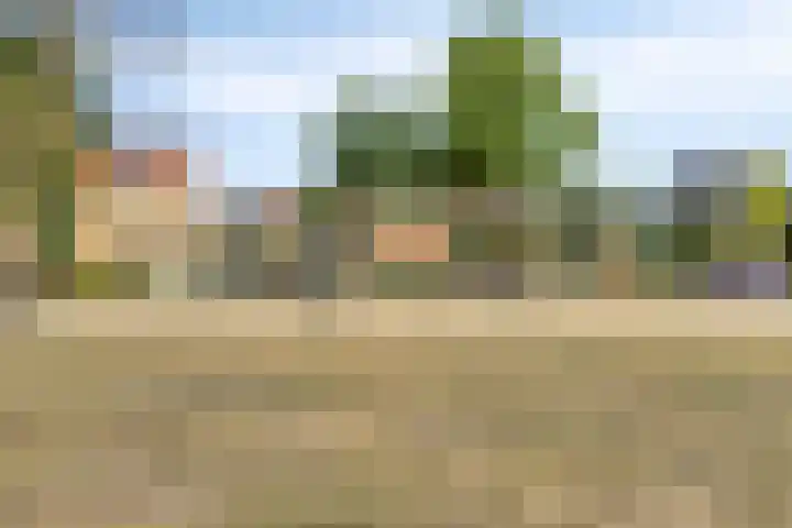 Max Havelaardreef 108 Oosterhout thumbnail 28